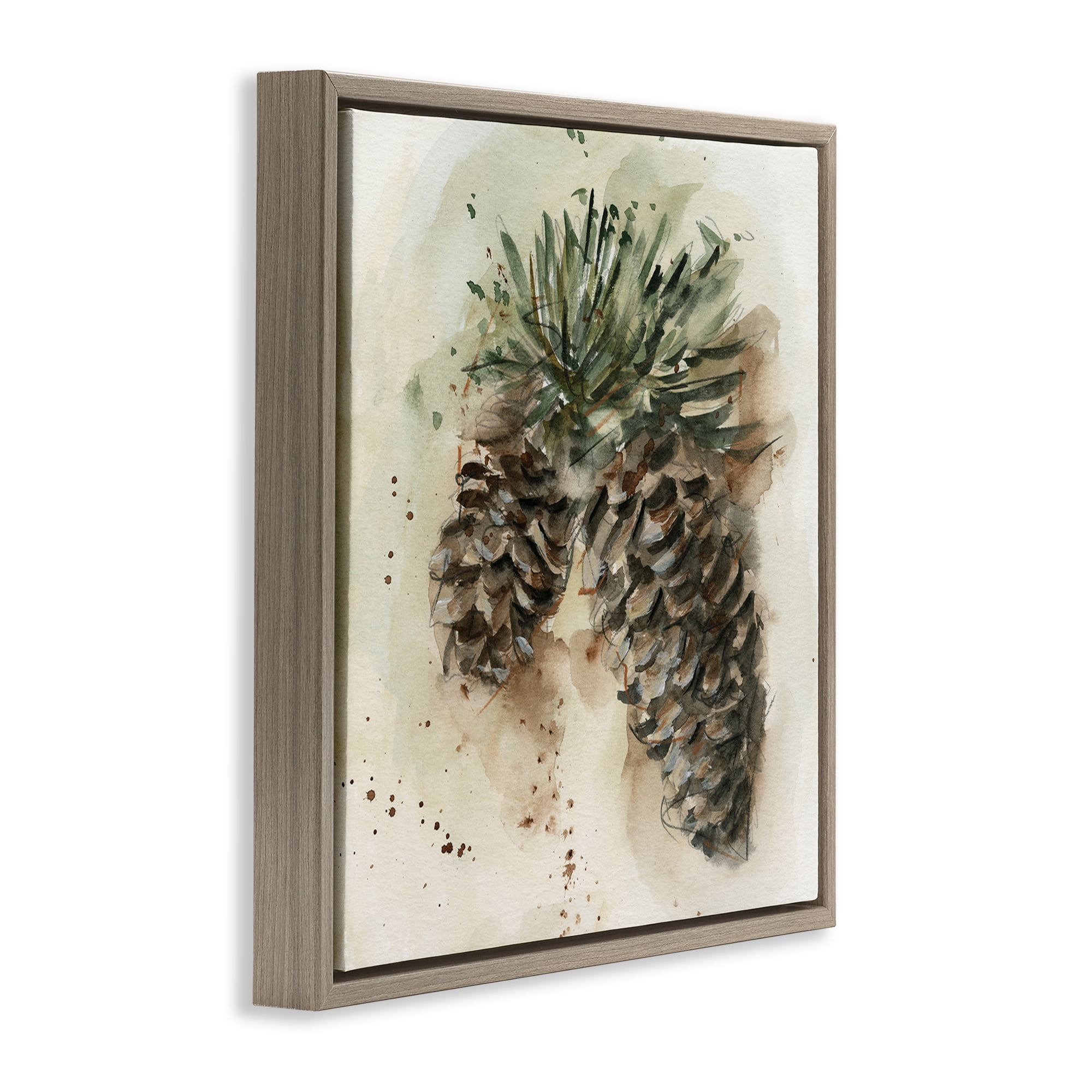Stupell Industries Pine Cone Watercolor Plants & Flowers Painting Brown Floater Framed Canvas Art Print Wall Art, 25 x 25