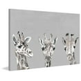 thumbnail image 2 of Marmont Hill Giraffe Poses III Canvas Wall Art, 2 of 7
