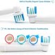 thumbnail image 2 of Paquete de 4 cabezales de cepillo de dientes compatibles con oral blanco, 2 of 5
