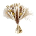 thumbnail image 4 of Ramo de hierba natural, set de decoración de hierba seca, flores decorativas de caña seca Estilo D, 4 of 9