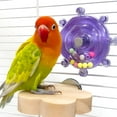 thumbnail image 4 of BESTSKY 2026 New Parrot Spinner Toy Interactive Birds Spinning Wheel Chew Toy Rotating Treat Dispenser Puzzle Cage Accessory for Parakeets Conures Cockatiels, 4 of 7
