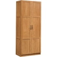 thumbnail image 1 of Pemberly Row Modern Engineered Wood Storage Cabinet in Highland Oak, 1 of 9