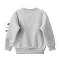 thumbnail image 7 of Tisuna Boys Crewneck Sweatshirts Kids Cozy Long Sleeve Sweatshirt Little Boys Dinosaur Print Everyday Wear Tops Clothes Size 3-4 Years, 7 of 7