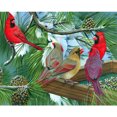 thumbnail image 1 of Diamond Drill Christmas Cardinal 5D Kits de pintura DIY Decoración redonda completa (A5783) Hugtrwg Para estrenar, 1 of 9