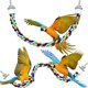 thumbnail image 1 of 2 Pieces Toy Bird Rope Perches Climbing Rope Bungee Bird Toys Rope Perch Stand Cage Rope Comfy Perch Parrot Toys for Parrot, Parakeets Cockatiels, Conures, 1 of 5