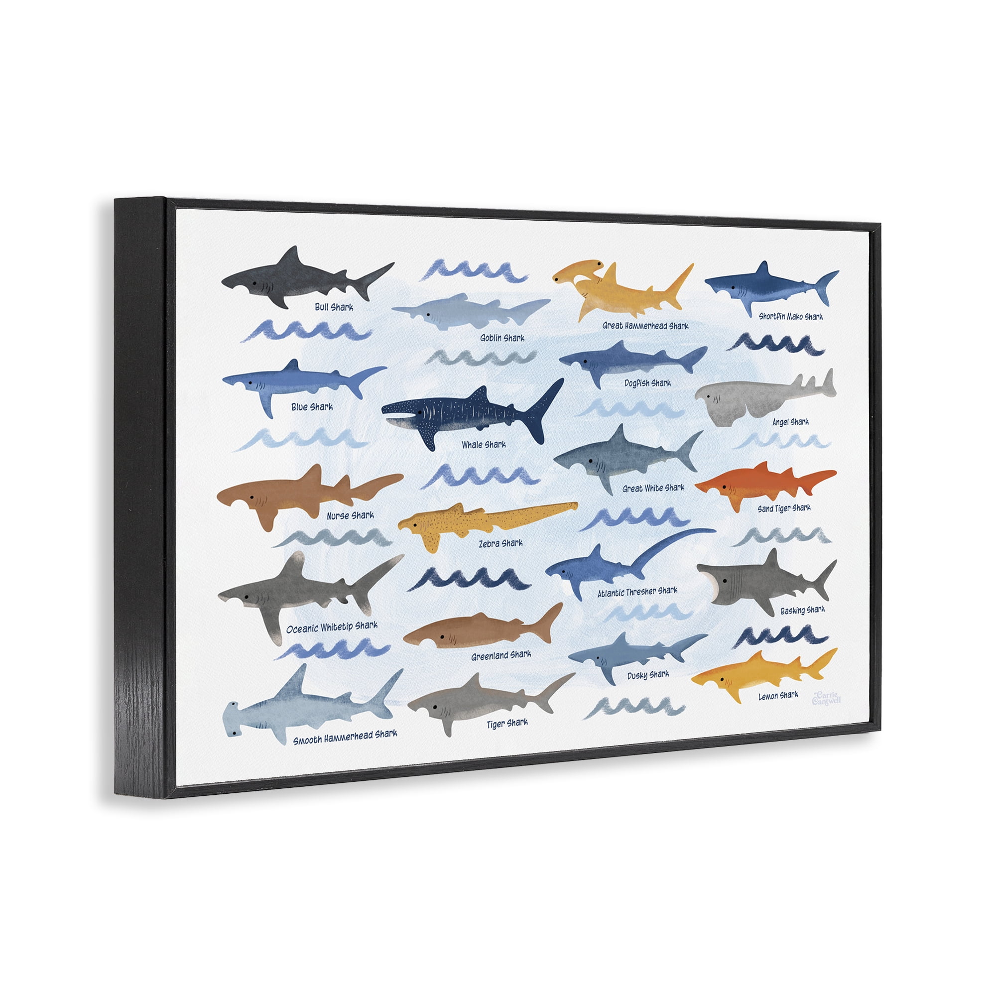 Stupell Industries Various Shark Breeds Coastal Painting Black Framed Art Print Wall Art, 24 x 16