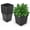 Black, variant on ALL-CARB 10PCS 5 Gallon Square Durable Planter Nursery Pots, Injection Molded Plastic Plant Container Garden Planter Pots for Indoor Outdoor Plants Flower Vegetables, Black