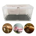 thumbnail image 3 of Almencla Contenant à Champignons Kit Bricolage Intérieur Couvercle Transparent pour Fournitures de Plantation de Champignons, 3 of 8