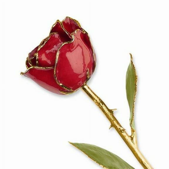 24k Gold Plated Trim Ruby Sun Rose