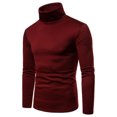 thumbnail image 1 of ITFABS Men Long Sleeve Pullover, Turtle Neck T-shirt, Solid Color Slim Fit Tops, 1 of 3