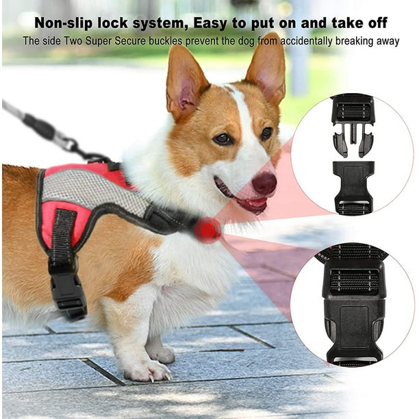 Harnais de sécurité voiture pour chien - XS - Tour de poitrail : 20 à 50 cm  (Noir)