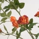 thumbnail image 2 of Artificial Flowers Long Small Roses Table Flowers Flower Arrangements Modern Living Room Decorations Artificial Flower Bouquets, Long Small Roses, Table Flowers, Flower Arrangements, Modern, 2 of 7