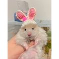 thumbnail image 3 of 1pc Cute Rabbit Ear Hat Headwear For Small Pets Such As Hamsters/Parrots, 3 of 5