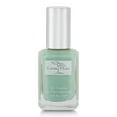 thumbnail image 2 of Karma Organic Non-Allergenic Nail Polish (CHRISTMAS IN JULY), 2 of 100