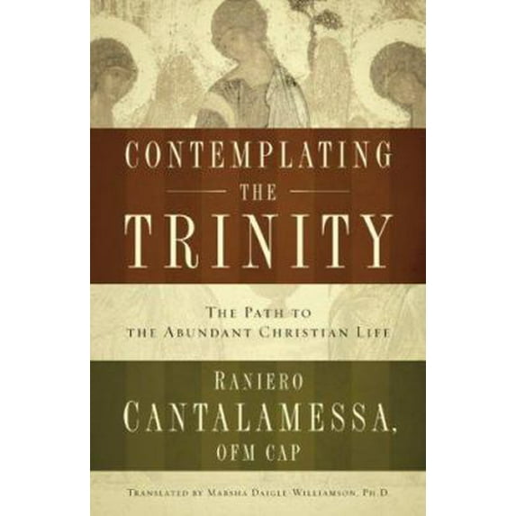 Pre-Owned Contemplating the Trinity (Paperback) 1593250975 9781593250973