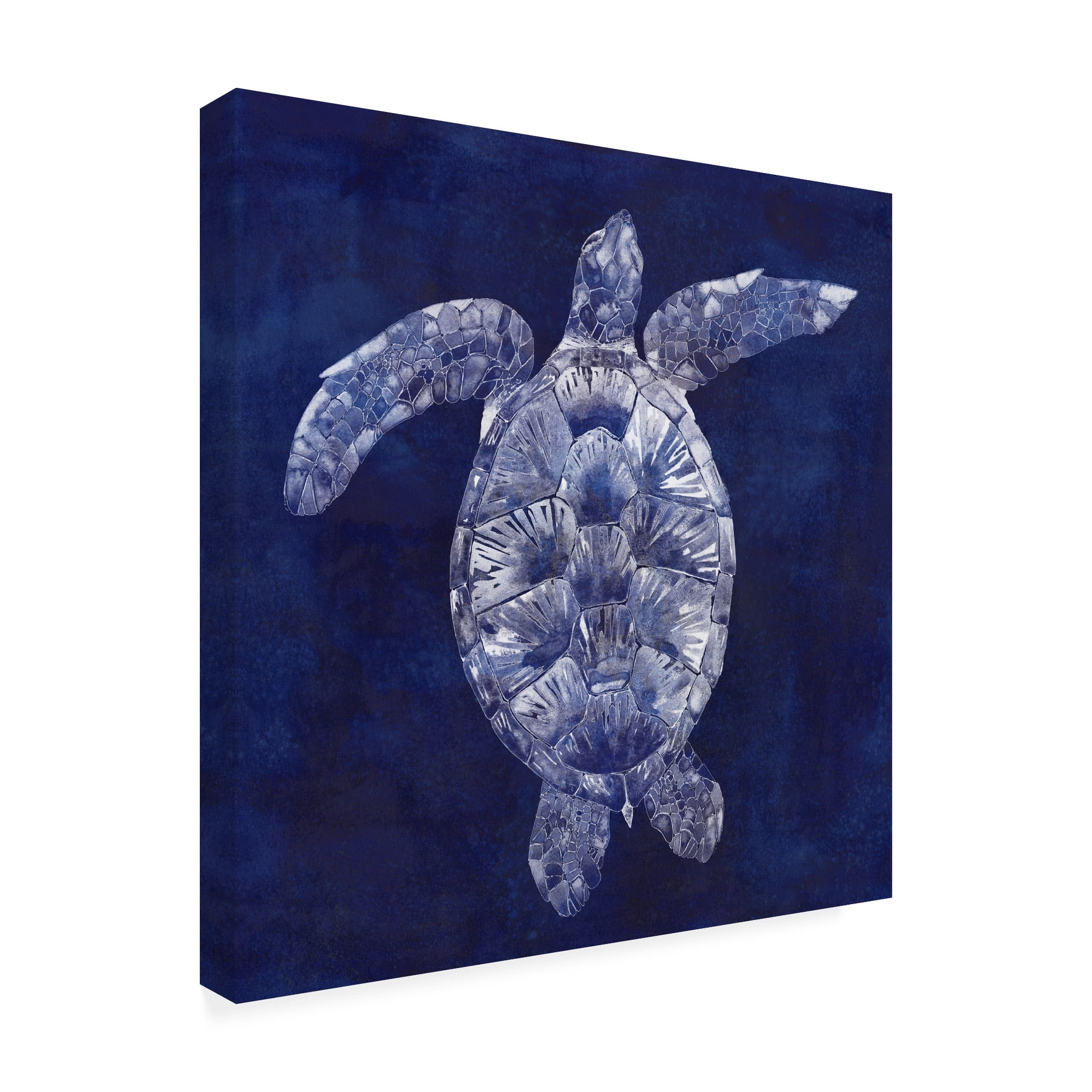 Trademark Fine Art 'Sea Turtle Shadow II' Canvas Art by Grace Popp