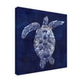 thumbnail image 2 of Trademark Fine Art 'Sea Turtle Shadow II' Canvas Art by Grace Popp, 2 of 4