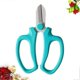 thumbnail image 4 of Floral Shear Garden Pruning Floral Shear Fruit Leaf Scissors Hand Pruner Snips Cutting Tool Sky, 4 of 5