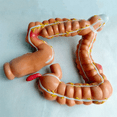thumbnail image 2 of Teaching Model,Human Large Intestine Anatomy Model Visceral Lesion Model Human Digestive System Learning Model, 2 of 6