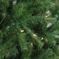 thumbnail image 3 of Northlight 7.5' Prelit Artificial Christmas Tree Slim Waterton Spruce - Clear Lights, 3 of 4