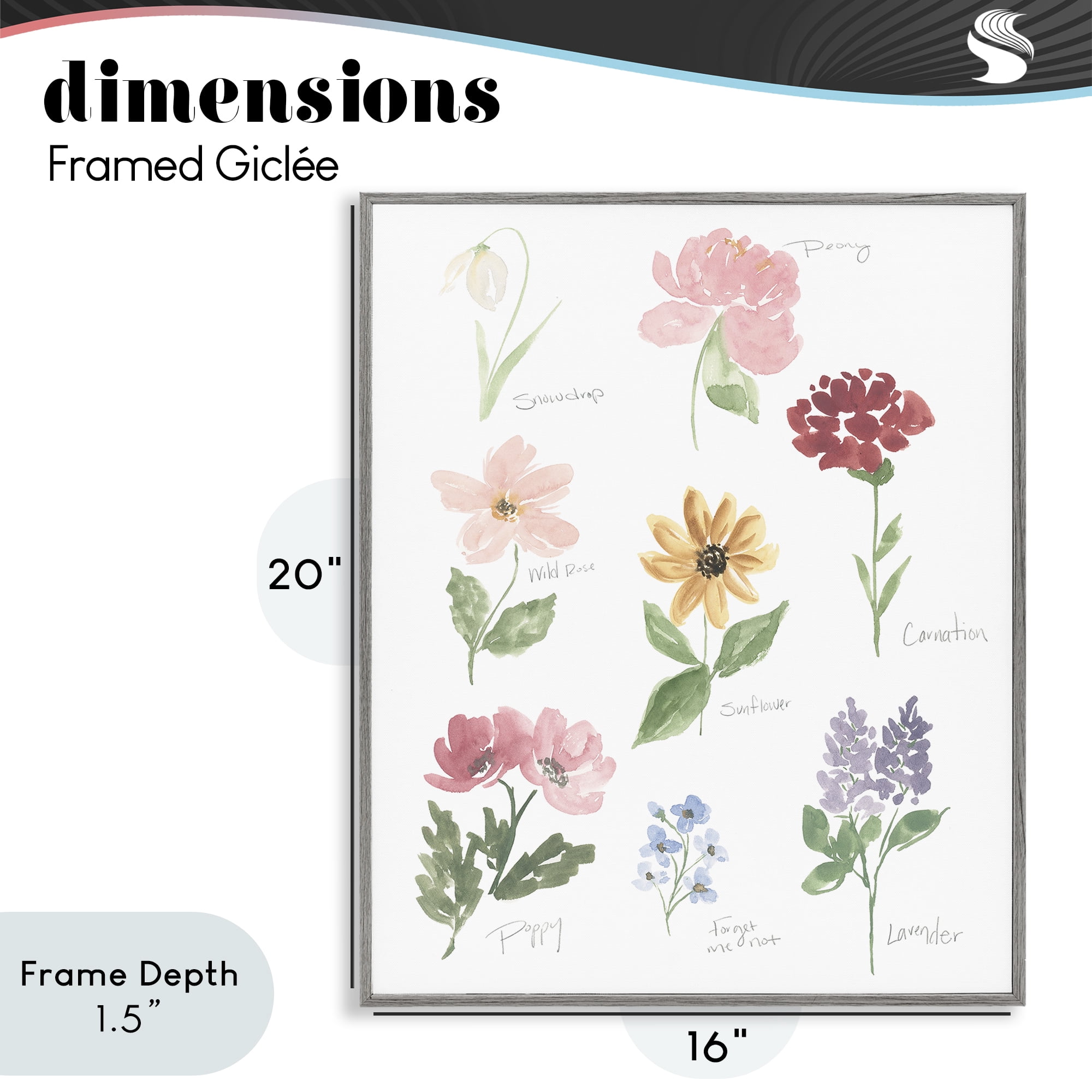 Stupell Industries Labeled Flower Varieties Gray Framed Giclee Art, design by Lucille Price