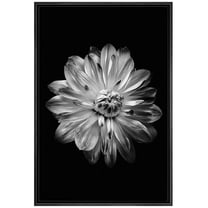 IDEA4WALL Framed Canvas Art Wall Decor Chrysanthemum Floral Flower Photography Minimalism Modern Closeup Dramatic Black and White for Dorm Home Office - 24"x36"