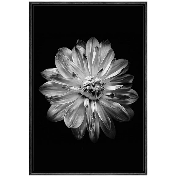 IDEA4WALL Framed Canvas Art Wall Decor Chrysanthemum Floral Flower Photography Minimalism Modern Closeup Dramatic Black and White for Dorm Home Office - 24"x36"