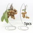 thumbnail image 6 of Stainless Steel Banana Hanger Stand, Fruit and Vegetables Draining ,Home Use Modern Stable Rack Holder for kitchen and, 6 of 8