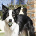 thumbnail image 5 of Dog Teeth Toy Super Soft Colorful Funny Chewing Balls for Self Playing, 5 of 5