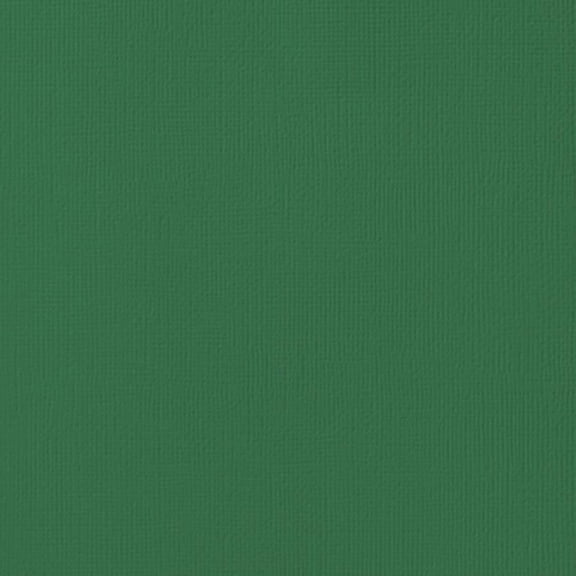American Crafts 80lb Textured Cardstock 12"X12"-Evergreen