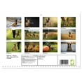 thumbnail image 2 of Malinois - Strong drive dogs with a lot of heart (Monthly Wall Calendar 2026 16.5 x 23.4 (open)), CALVENDO 14 Month Calendar, 2 of 9