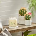 thumbnail image 5 of Candle Yankee Candle con aroma a limonada de bayas heladas, 385 ml, 5 of 5