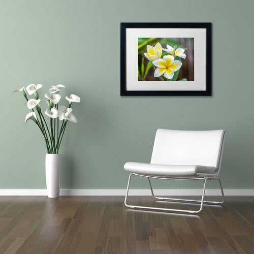 Trademark Fine Art 'Plumeria in the Rain' Canvas Art by Pierre Leclerc, White Matte, Black Frame
