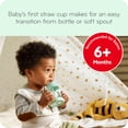 thumbnail image 3 of Pajita NUK Learner para niños pequeños, 150 ml, paquete de 2 unidades, 8 m o más, 3 of 7