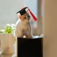 thumbnail image 3 of MasteelfCA 2Pcs Graduation Pet Costume Set with Pet Graduation and Graduation Hat, 3 of 9