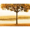 thumbnail image 3 of Seba, John 24x19 Black Modern Framed Museum Art Print Titled - Golden Morning I, 3 of 5