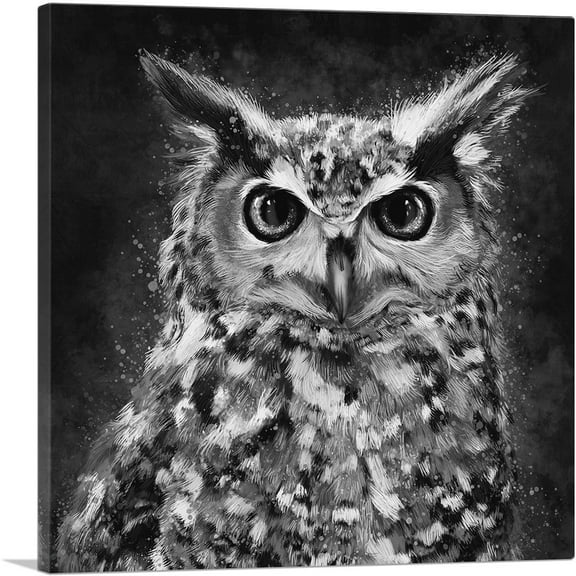 ARTCANVAS Owl Nocturnal Bird of Prey Barn Black White Canvas Art Print - Size: 12" x 12" (1.50" Deep)