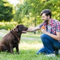 thumbnail image 3 of Creative Intelligent Interactive Pet Durable And Dog Toy Smart Pet Toy, 3 of 5