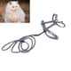 thumbnail image 5 of Juego de Arnés Y Correa para Gatos ANGGREK con Correa para Mascotas Y Arnés para Conejo 2.5-10 Kg, 5 of 8