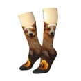 thumbnail image 2 of Fotbe Pastoral Sunflower Corgi print Women's Men's Novelty Crew Socks Cotton Socks Knee High Socks for Walking,Running,Nurses,Pregnancy, 2 of 8