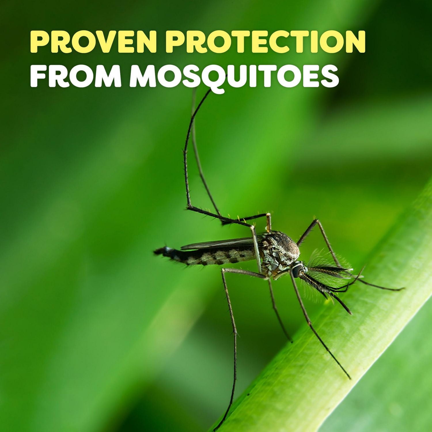 OFF!® recharges lampe chasse-moustiques pour la cours 2 Recharges