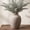 Rustic-221, variant on White Decorative Terracotta Vase, Rustic Ceramic Flower Vase for Living Room, Bathroom & Centerpieces