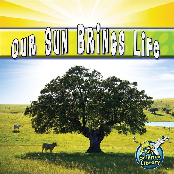 Pre-Owned Our Sun Brings Life (Paperback) 1617419257 9781617419256