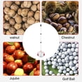thumbnail image 2 of Cosechadora de nueces rodantes mango telescópico herramientas de recolección para huertos de jardín, 2 of 6