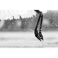 thumbnail image 2 of Zuo, Jun 24x17 Black Ornate Wood Framed with Double Matting Museum Art Print Titled - Taking Off, 2 of 4