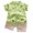 Z6-Green, variant on Vedolay Boy's Dinosaur Prints Short Sleeve Button Shirt and Solid Shorts Set,Blue 12-18 Months