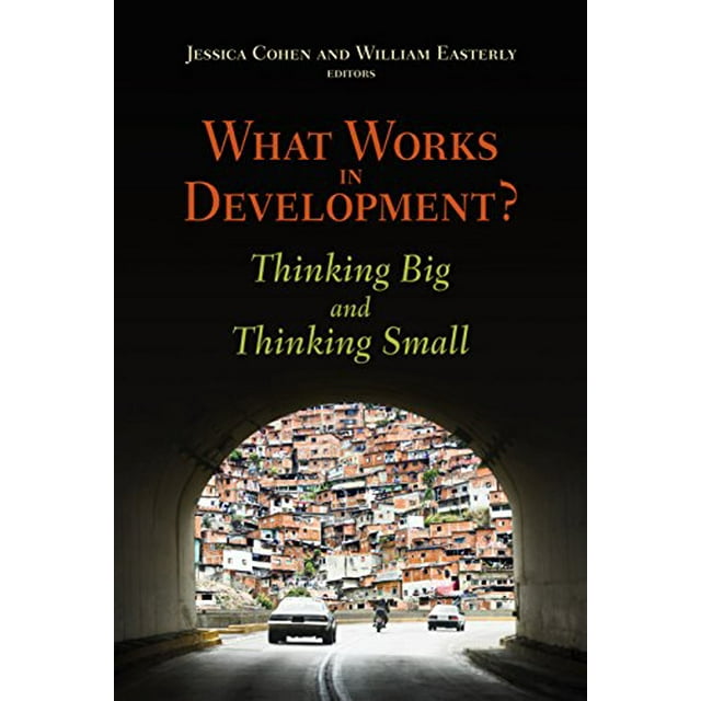 What Works in Development?: Thinking Big and Thinking Small