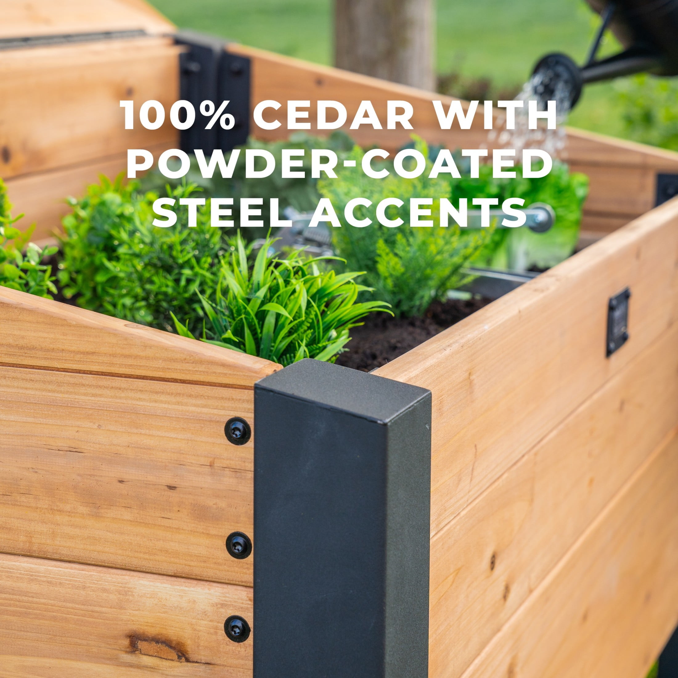 Backyard Discovery Aggie Cedar Wood Cold Frame Greenhouse - Thumbnail 3