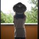 thumbnail image 1 of Hytrove Women's Black Lace Bucket Hat with Wide Brim Lightweight Foldable Design for Sunshade, 1 of 8