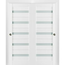 Sliding Closet Frosted Glass Bypass Doors 36 x 84 inches | Quadro 4445 White Silk | Sturdy Top Mount Rails Moldings Trims Hardware Set | Wood Solid Bedroom Wardrobe Doors